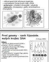 Náhledy