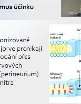 Náhledy